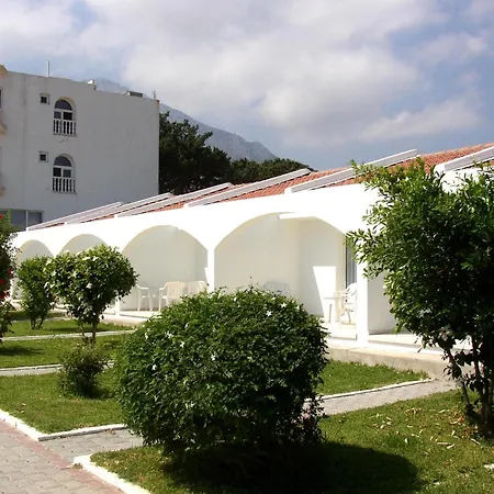 酒店 Sempati 拉普索斯